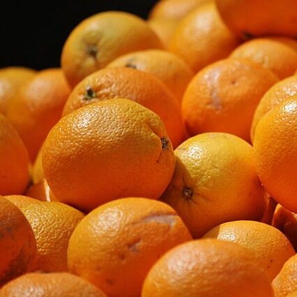 Transport goods oranges fruit on the vacuum lifter homepage AERO-LIFT