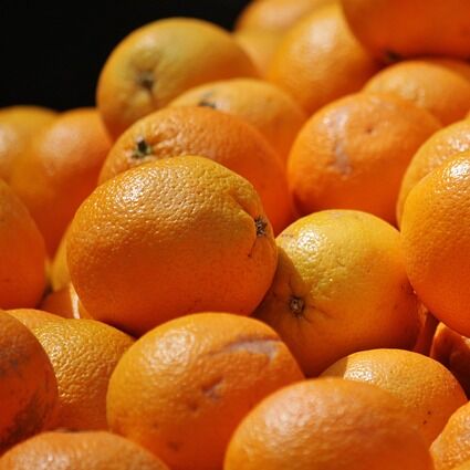 Transportgut Orangen Obst auf der Vakuumheber Homepage AERO-LIFT